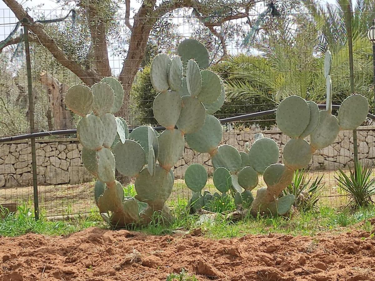 Villa Sargheruoli Monteroni di Lecce Bagian luar foto