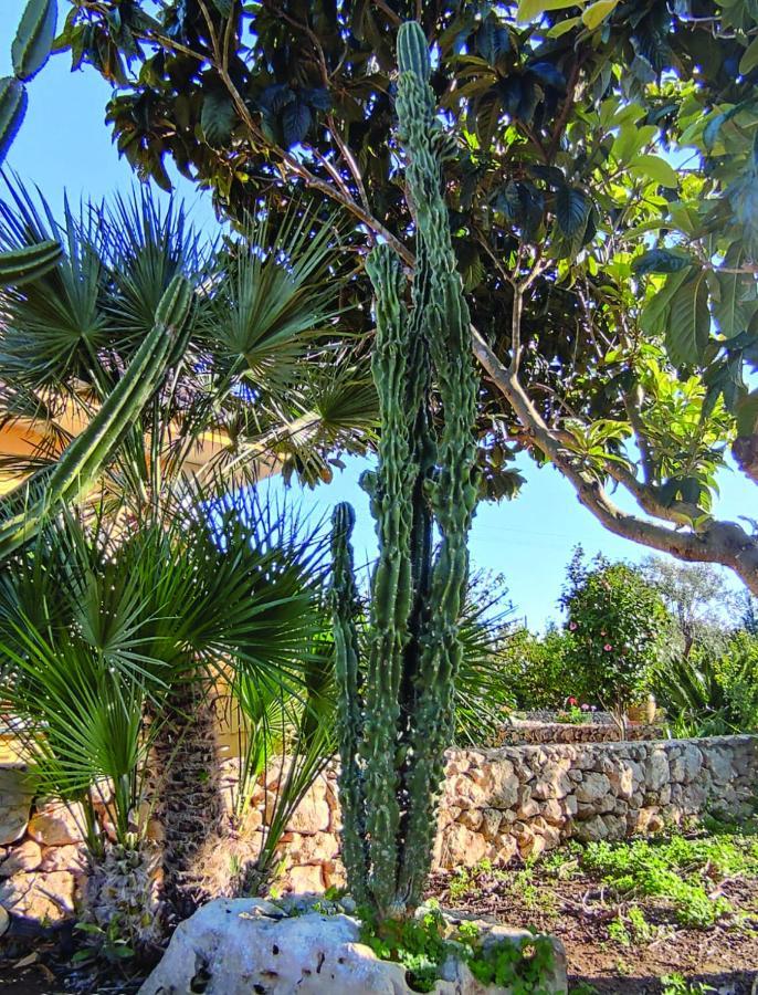 Villa Sargheruoli Monteroni di Lecce Bagian luar foto